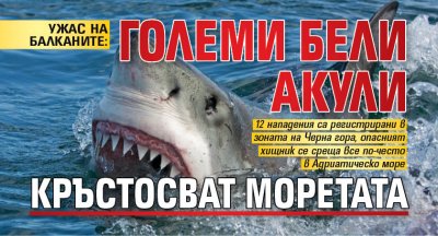 УЖАС НА БАЛКАНИТЕ: Големи бели акули кръстосват моретата