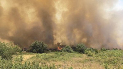 Пожар изпепели 200 дка пшеница край Кула