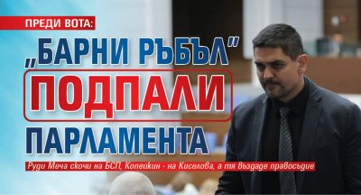 ПРЕДИ ВОТА: "Барни Ръбъл" подпали парламента