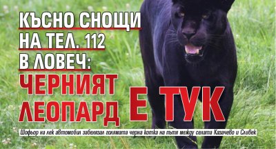 Късно снощи на тел. 112 в Ловеч: Черният леопард е тук