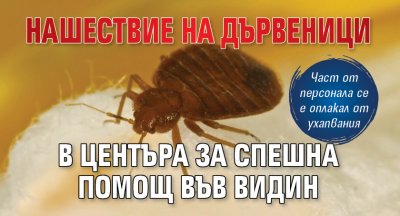 Нашествие на дървеници в Центъра за спешна помощ във Видин