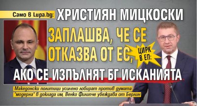 Само в Lupa.bg: Цирк в ЕП: Християн Мицкоски заплашва, че се отказва от ЕС, ако се изпълнят БГ исканията