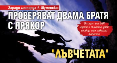 Заради леопарда в Шуменско: Проверяват двама братя с прякор "Лъвчетата"