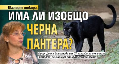 Експерт шокира: Има ли изобщо черна пантера?