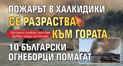 Пожарът в Халкидики се разраства към гората, 10 български огнеборци помагат