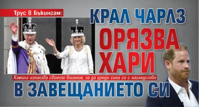 Трус в Бъкингам: Крал Чарлз орязва Хари в завещанието си