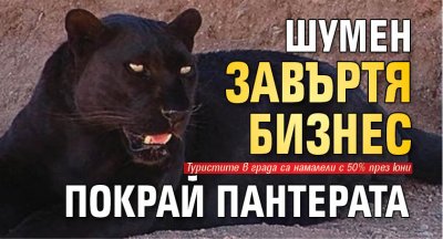 Шумен завъртя бизнес покрай пантерата