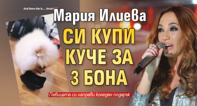 Мария Илиева си купи куче за 3 бона