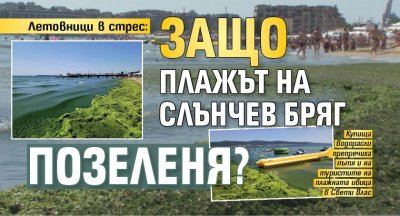 Летовници в стрес: Защо плажът на Слънчев бряг позеленя?