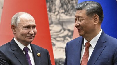 Жалкарите от БРИКС се събират в Бразилия без Си и Путин