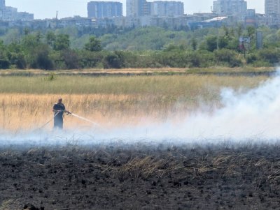 Атанасовското езеро е в пламъци!