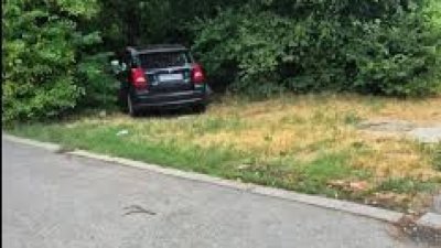 ХИТ: Черна пантера се крие в столичните храсталаци