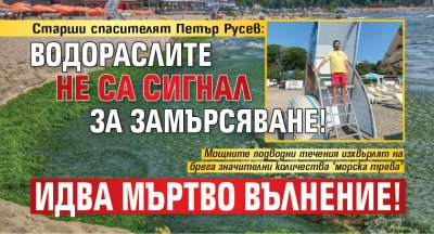 Старши спасителят Петър Русев: Водораслите не са сигнал за замърсяване! Идва мъртво вълнение!