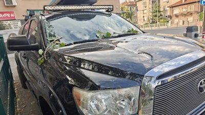 Огромен клон се е стоварил върху колата на бившия кмет