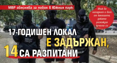 МВР обяснява за побоя в Южния парк: 17-годишен локал е задържан, 14 са разпитани 