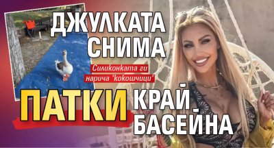 Джулката снима патки край басейна