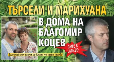 Само в Lupa.bg: Търсели и марихуана в дома на Благомир Коцев