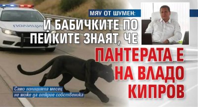 МЯУ ОТ ШУМЕН: И бабичките по пейките знаят, че пантерата е на Владо Кипров
