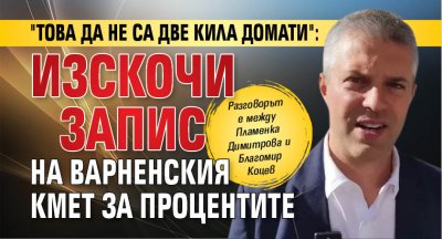 "Това да не са две кила домати": Изскочи запис на варненския кмет за процентите