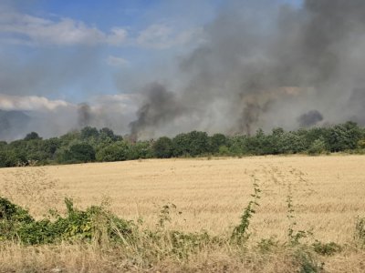 Пожарът край Мурсалево е обхванал около 2000 дка