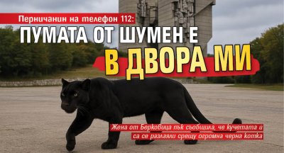 Перничанин на телефон 112: Пумата от Шумен е в двора ми