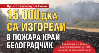 Призив за помощ от кмета: 15 000 дка са изгорели в пожара край Белоградчик