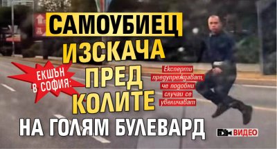 ЕКШЪН В СОФИЯ: Самоубиец изскача пред колите на голям булевард (ВИДЕО)