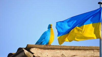 Украинският парламент прие закон, позволяващ на лица над 60 години да могат да бъдат назначавани на кадрова военна служба