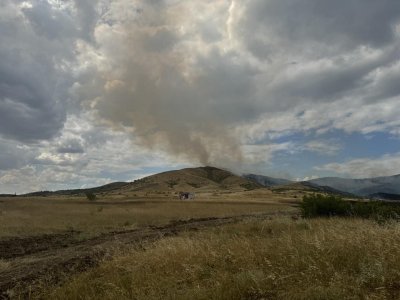 15 000 декари изгоряха в Белоградчишко: Пожарът приближава Сърбия
