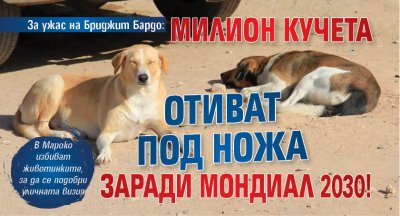 За ужас на Бриджит Бардо: Милион кучета отиват под ножа заради Мондиал 2030!