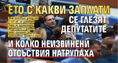 Eто с какви заплати се глезят депутатите и колко неизвинени отсъствия натрупаха