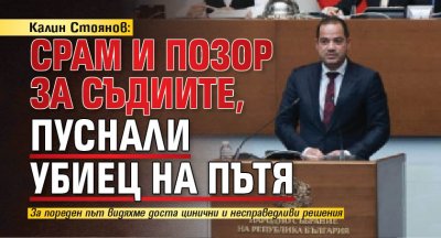 Калин Стоянов: Срам и позор за съдиите, пуснали убиец на пътя