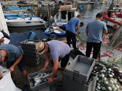 Рибари казаха, че няма да се подчинят на забраната да ловят край пристанищата