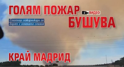 Голям пожар бушува край Мадрид (ВИДЕО)
