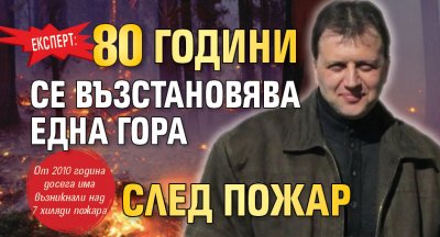 Експерт: 80 години се възстановява една гора след пожар 
