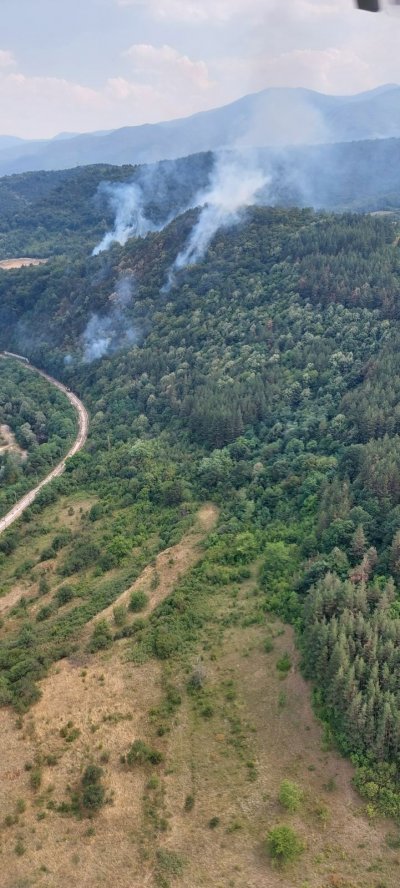 Голям пожар бушува край Белово, търсят се доброволци