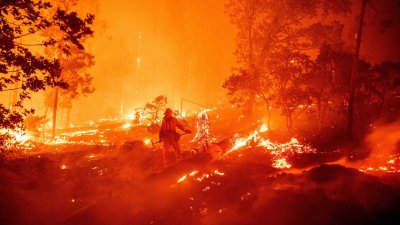 Пожар унищожи близо 70 дка пшеница в с. Костанденец