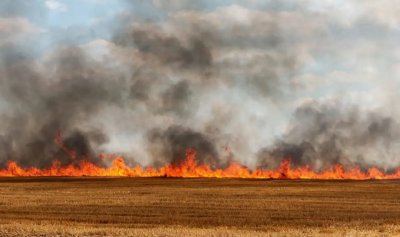 Продължава битката с пожара край Костинброд