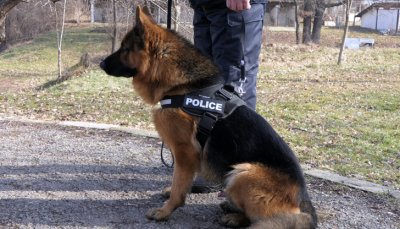 Количеството наркотик кокаин е над 200 килограма Като обвиняеми