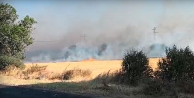 Пламна село Мъдрец, хората обаче отказват да се евакуират