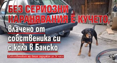 Без сериозни наранявания е кучето, влачено от собственика си с кола в Банско