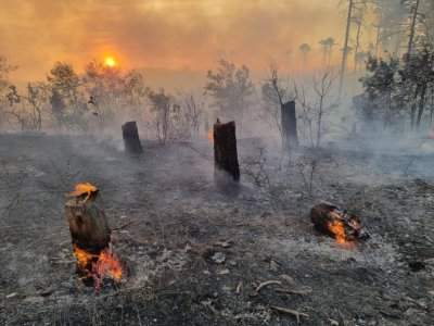 Голям пожар гори между Каварна и Балчик