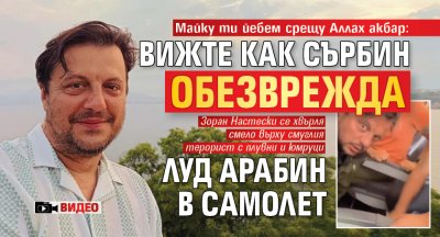 Майку ти йебем срещу Аллах акбар: Вижте как сърбин обезврежда луд арабин в самолет (ВИДЕО)