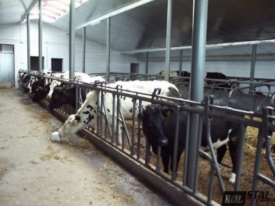 20 крави загинаха при пожар във ферма в свищовското с. Козловец 