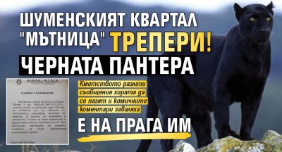 Шуменският квартал "Мътница" трепери! Черната пантера е на прага им