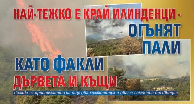 Най-тежко е край Илинденци - огънят пали като факли дървета и къщи