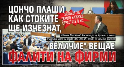 Законът за еврото нажежи страстите в НС: Цончо плаши как стоките ще изчезнат, "Величие" вещае фалити на фирми