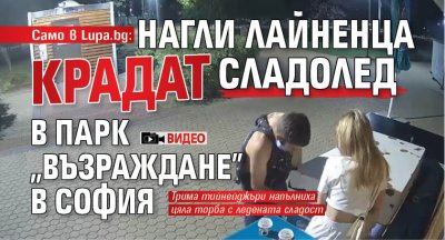 Само в Lupa.bg: Нагли лайненца крадат сладолед в парк "Възраждане" в София (ВИДЕО)