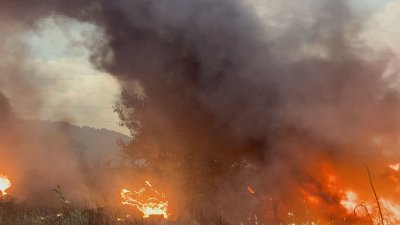 Десетки къщи, кравеферма и старо училище изгоряха в Брусарци