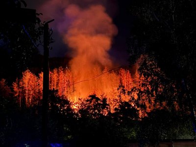 Ето как се пали пожар:Камерите във В.Търново уловиха умишлен подпалвач (ВИДЕО)